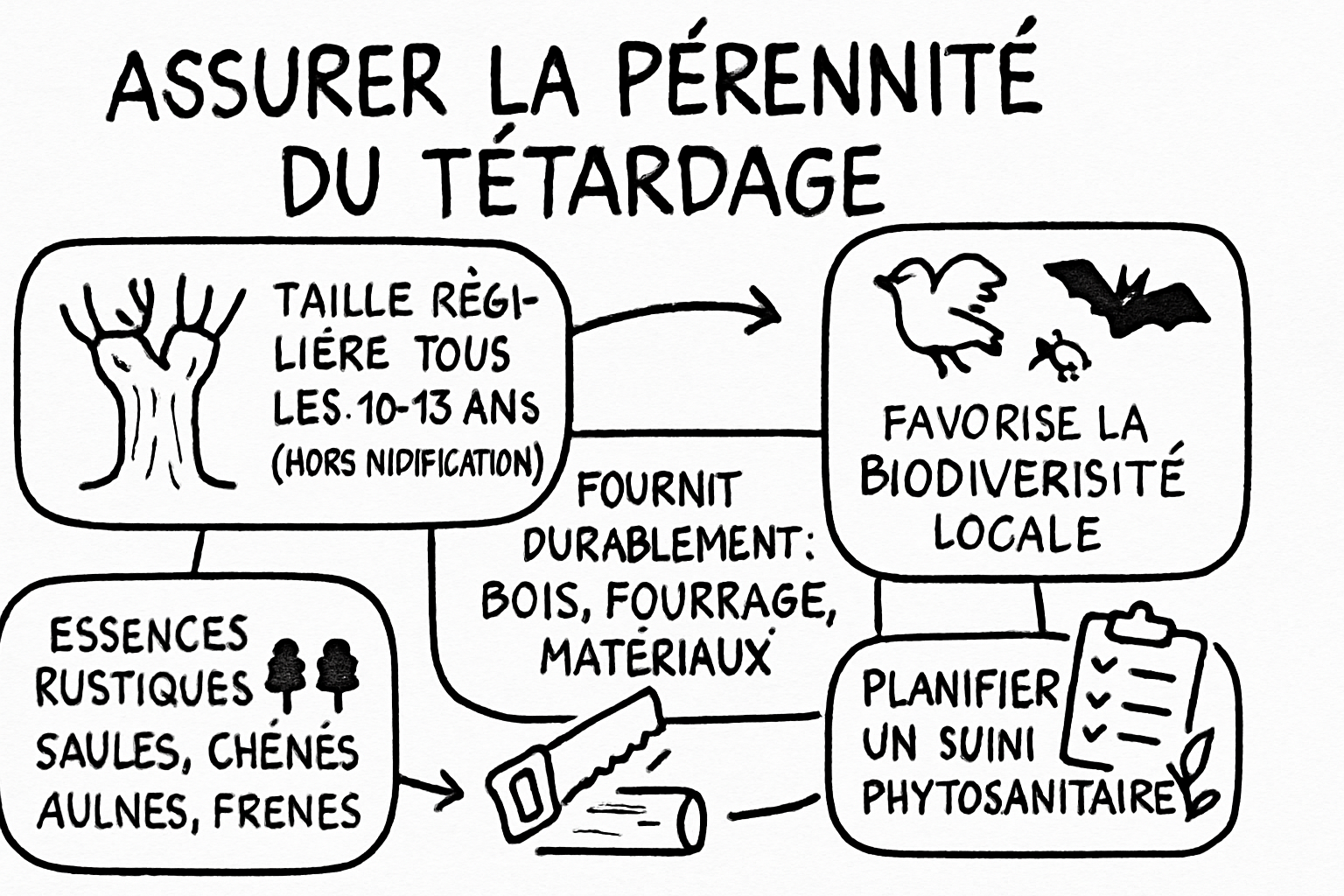 RĂ©sumĂ© visuel de lâarticle