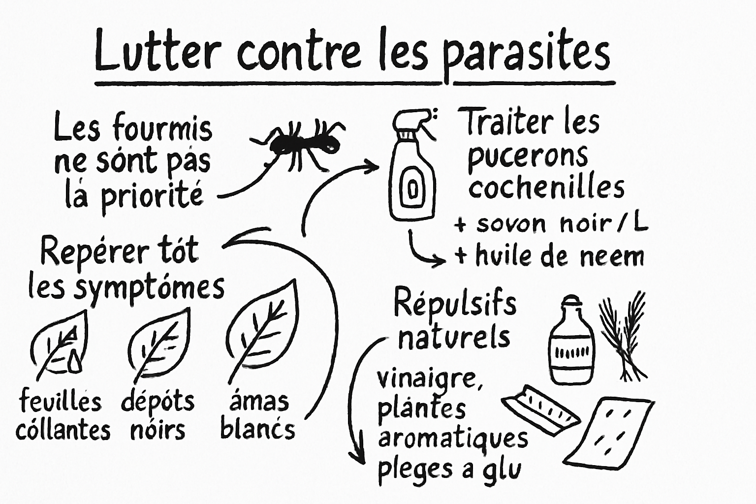 RĂ©sumĂ© visuel de lâarticle