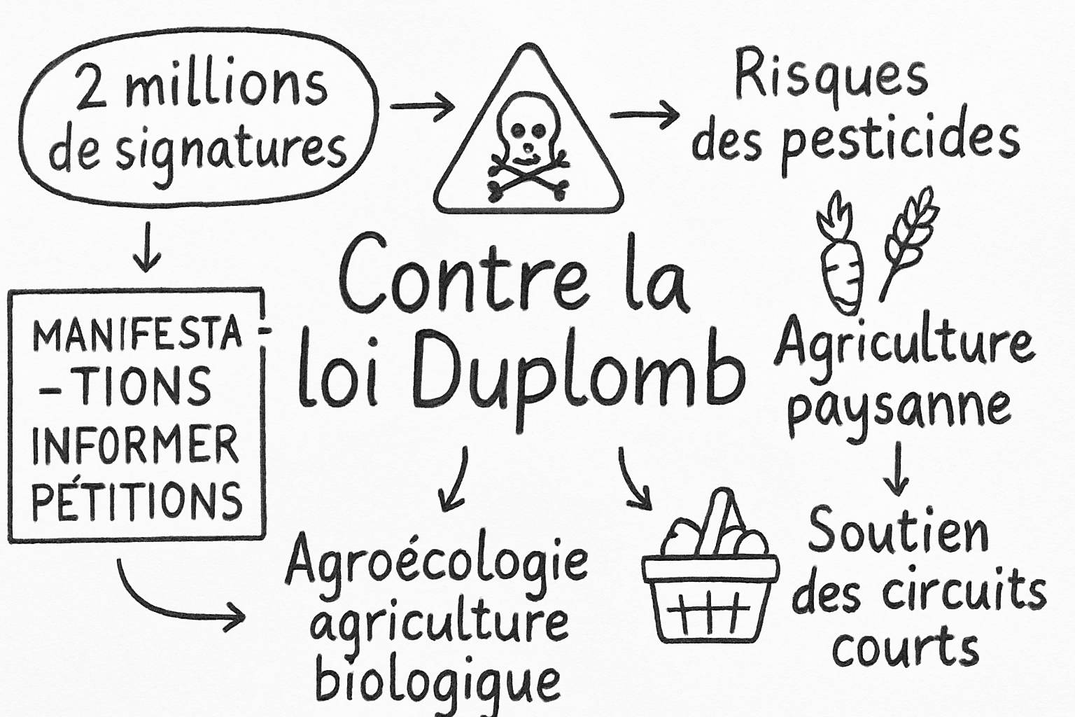 Résumé visuel de l’article
