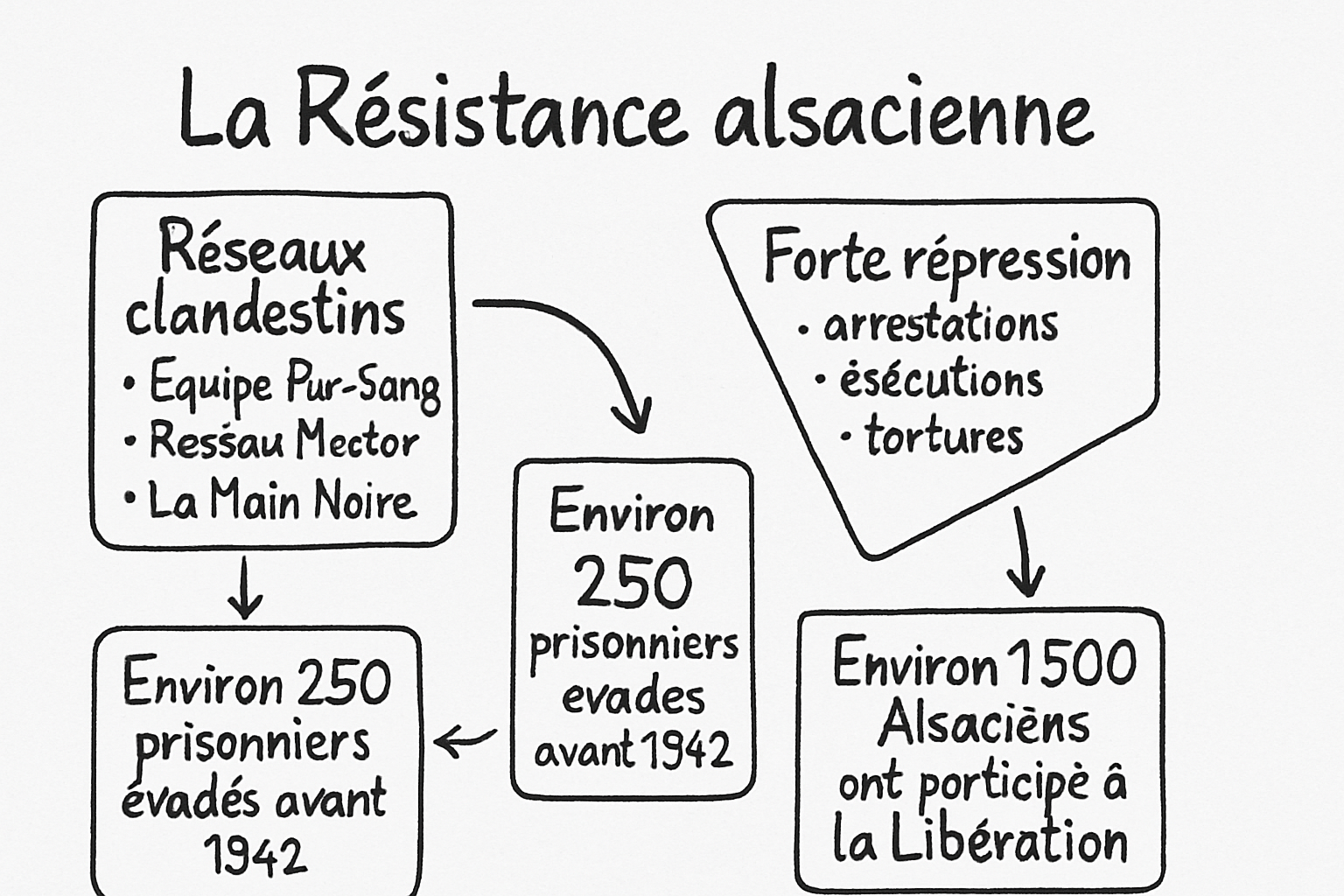 resistance alsacienne nazisme sketchnote ehrengarth Résumé visuel de l’article