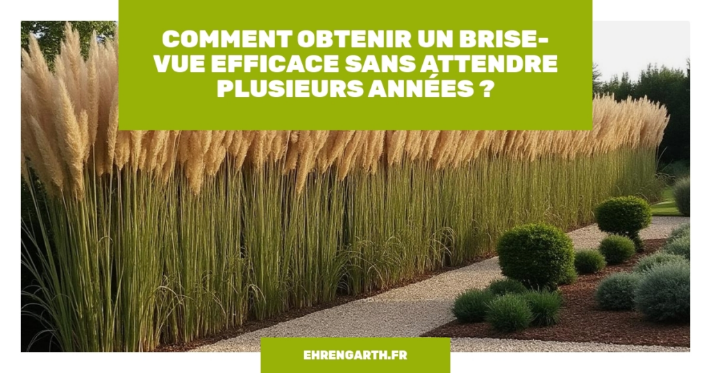comment obtenir un brise vue efficace sans attendre plusieurs annees