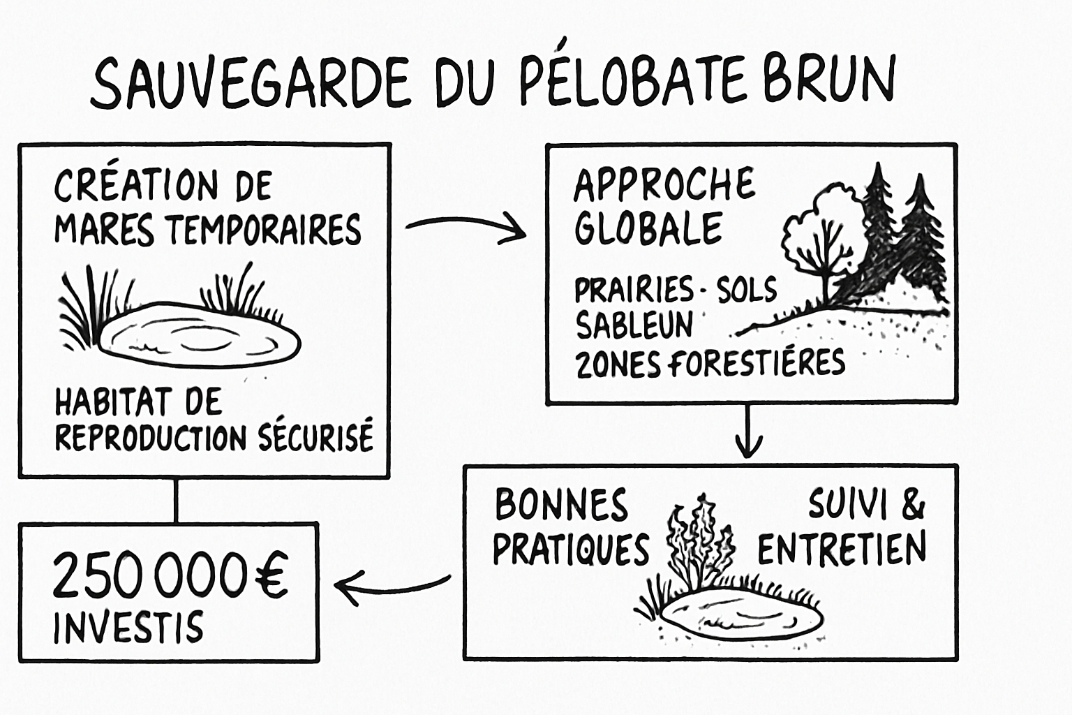 Résumé visuel de l’article