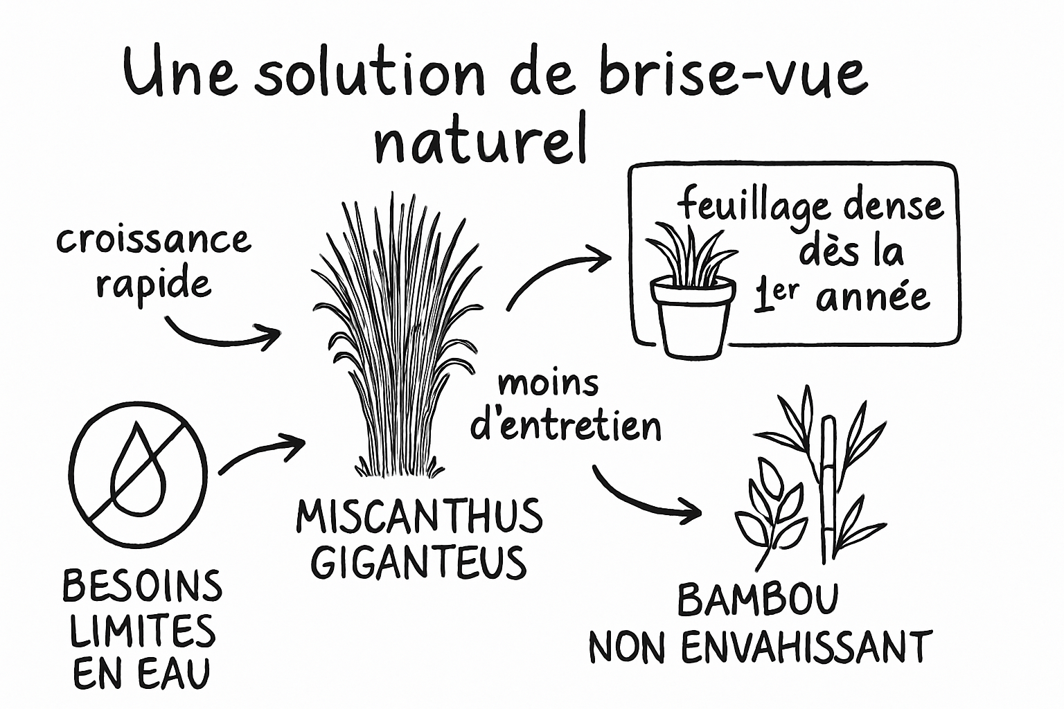 Résumé visuel de l’article
