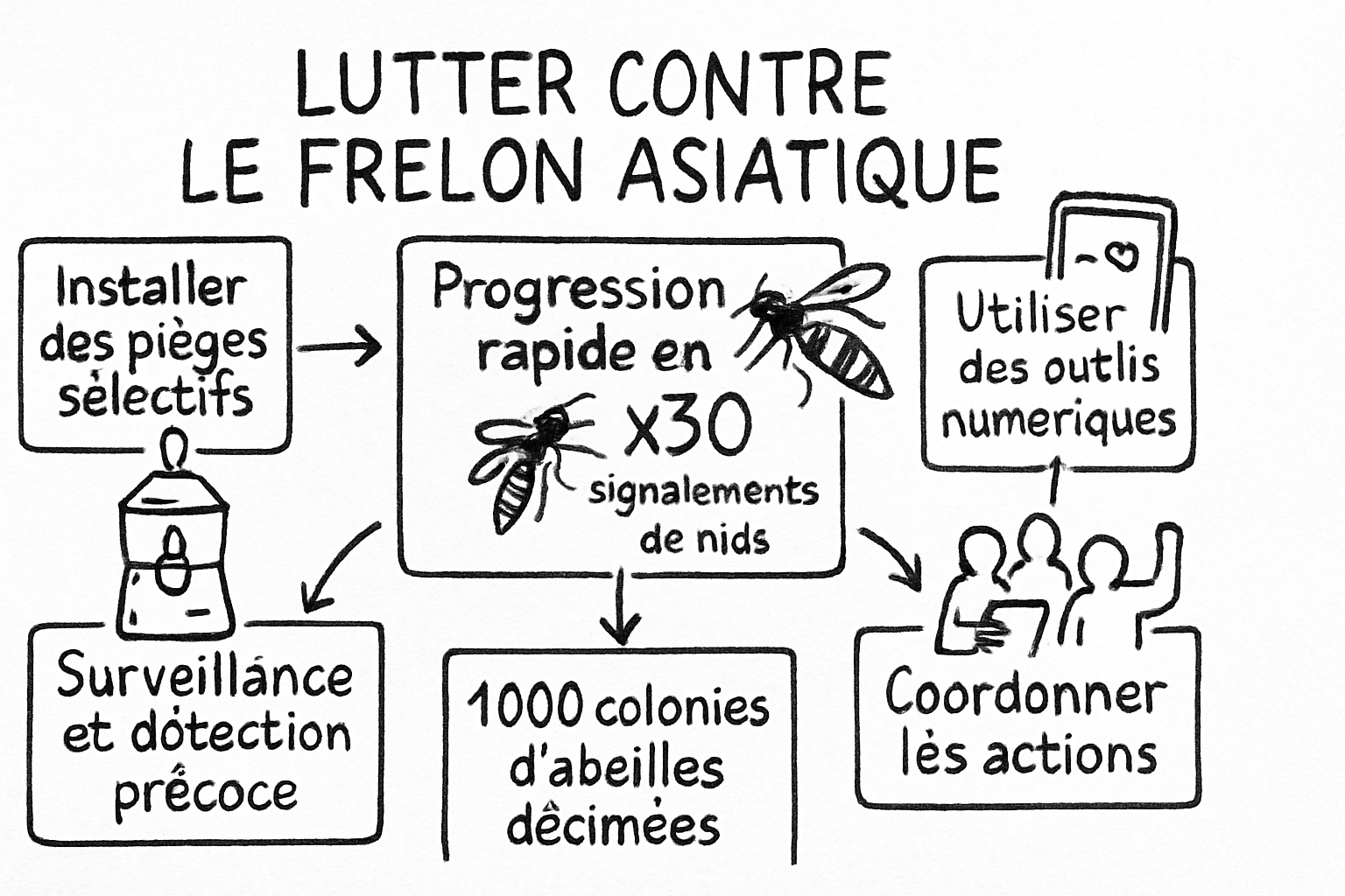 Résumé visuel de l’article