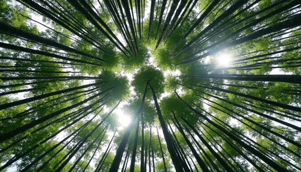 dressing sur mesure 30 inspirations de style et conseils budget découvrez 30 inspirations de style pour un dressing sur mesure, accompagnées de conseils pratiques pour optimiser votre budget et créer un espace unique et fonctionnel.