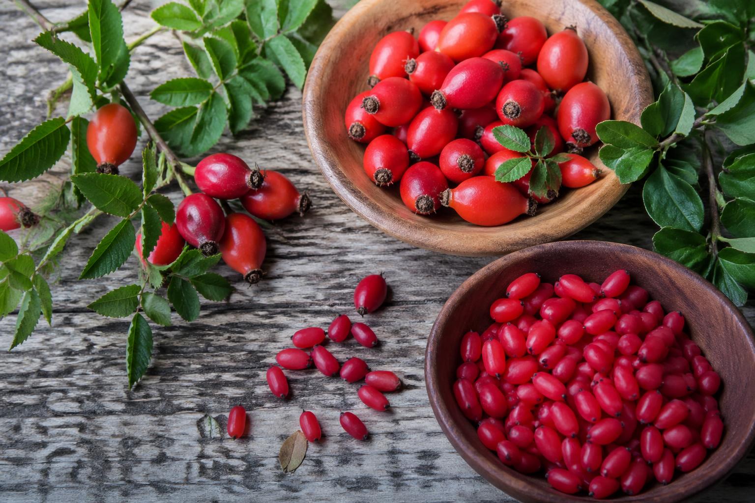 découvrez la liste complète des fruits commençant par la lettre e, idéale pour les curieux et les passionnés de jeux de lettres. enrichissez votre vocabulaire et amusez-vous !