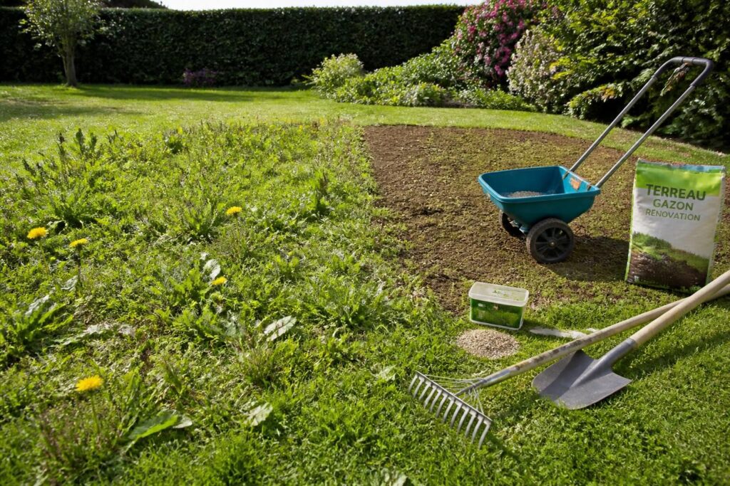 pelouse envahie par les mauvaises herbes voici 5 etapes cles pour la refaire a neuf découvrez 5 étapes clés pour débarrasser votre pelouse des mauvaises herbes et la refaire à neuf. guide pratique pour une pelouse saine et verdoyante.