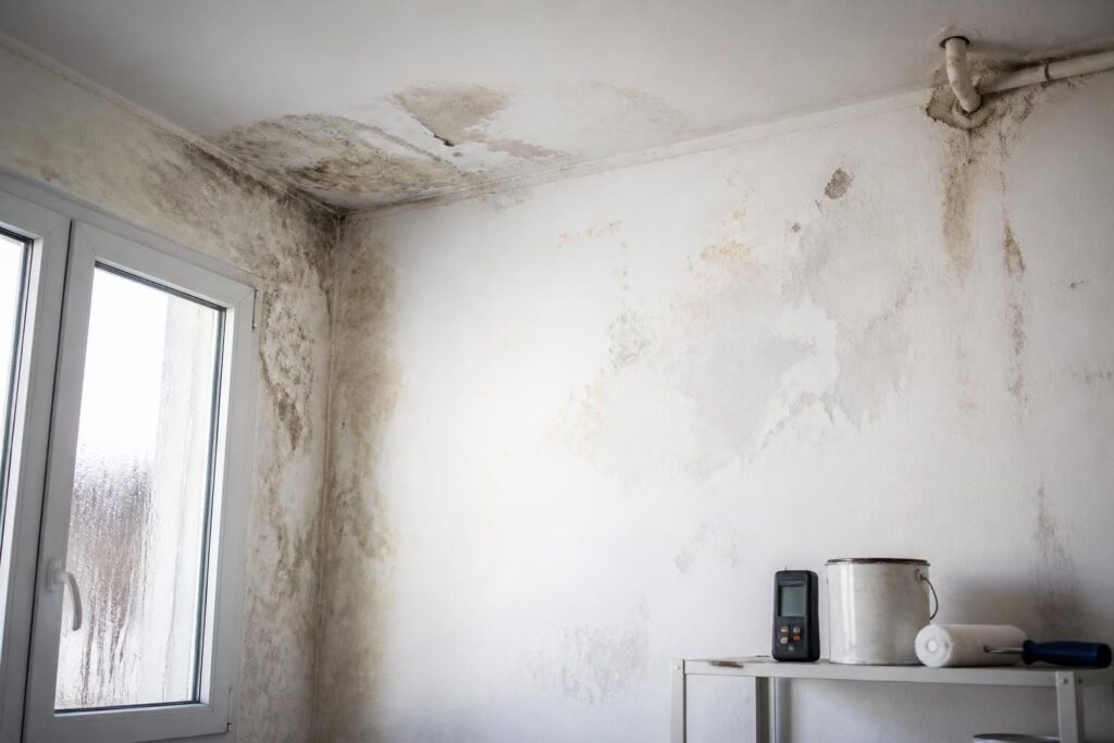 taches dhumidite sur un mur identifier lorigine avant de repeindre découvrez comment identifier l'origine des taches d'humidité sur un mur avant de repeindre pour assurer une réparation durable et éviter la récidive des moisissures.